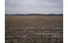 Property photo 6 - 71 Acres Offered in 2 Tracts